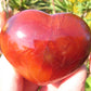 Carnelian Medium Heart Wicks and Stonez