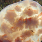 Flower Agate Palm Stones Wicks and Stonez